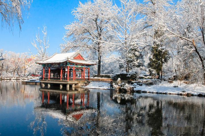 20250423-114 周年校庆｜乐动平台离退休教职工书画作品展和摄影作品展开幕-段鸿杰-作品名称：《校园雪韵》作者：费润升.png