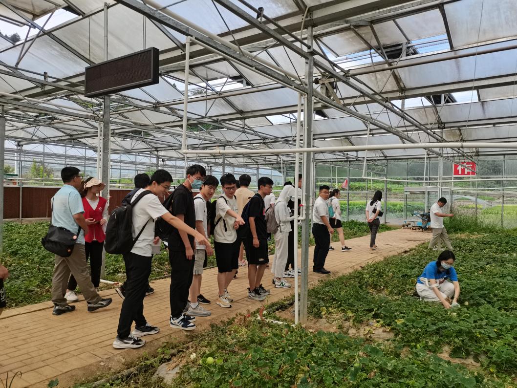 20220808-0814-乐动平台“林枫计划”师生赴江西赣县区调研实践-马小涵摄-支队师生参观五云镇夏潭村蔬菜研学基地.jpg